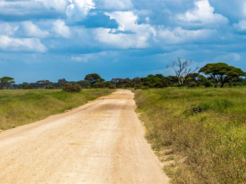 Todo Kenia (+ Noche En Nairobi Al Final) 4