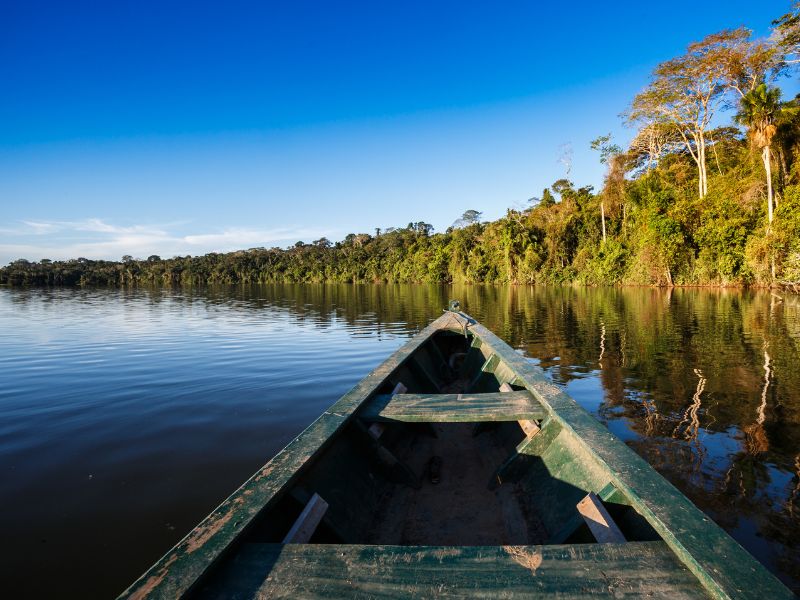 Conociendo el amazonas