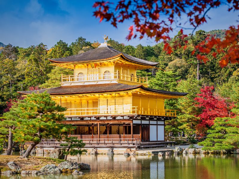 Esencias De China, Japón y Hong Kong 4