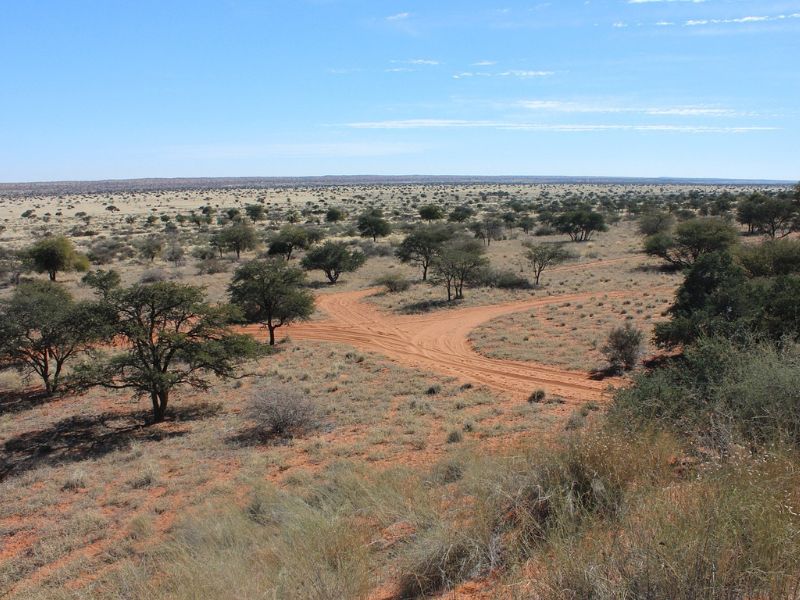 Namibia Fascinante y Desierto de Kalahari 1