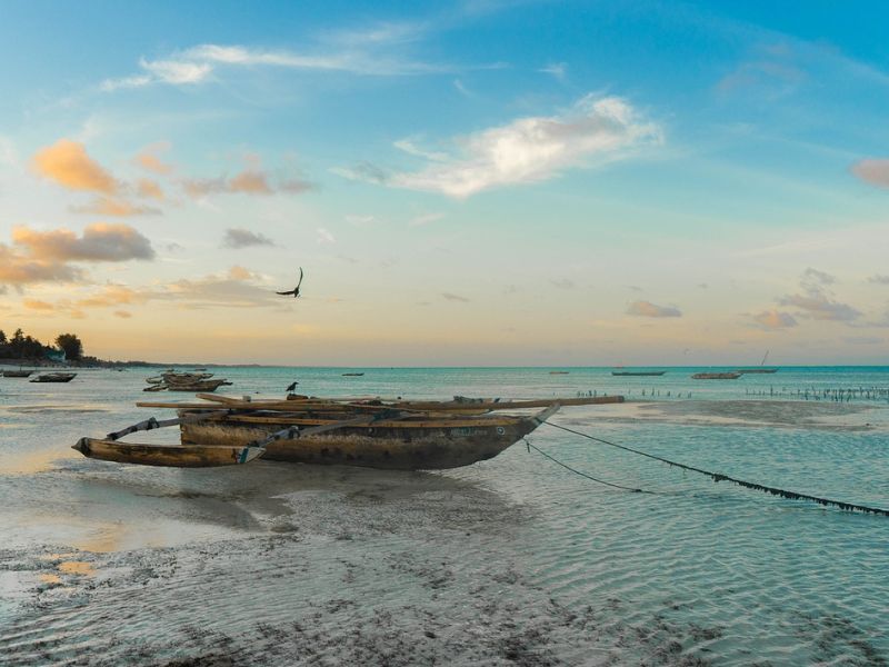 Tanzania Inolvidable y Zanzíbar 2